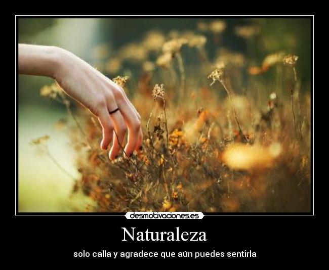 Naturaleza - solo calla y agradece que aún puedes sentirla