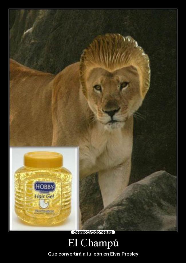 El Champú - Que convertirá a tu león en Elvis Presley