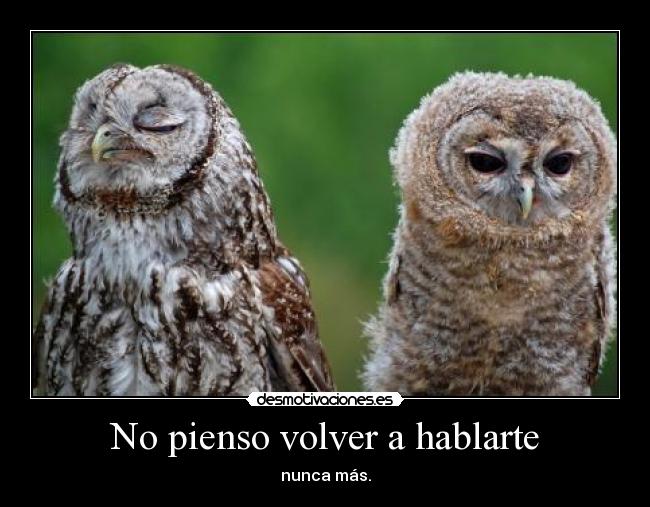 No pienso volver a hablarte - nunca más.