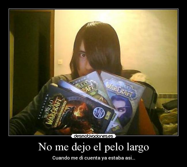 carteles pelo lol warcraft desmotivaciones