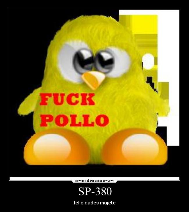 SP-380 - felicidades majete