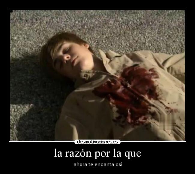 la razón por la que - ahora te encanta csi