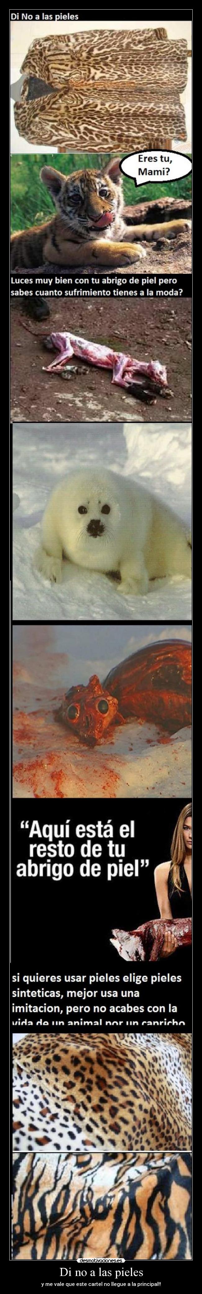 Di no a las pieles -