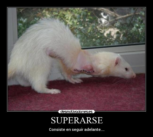 SUPERARSE - 