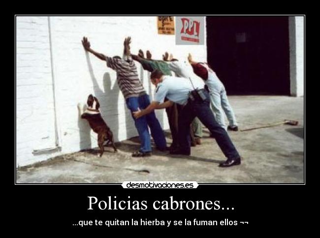 Policias cabrones... - ...que te quitan la hierba y se la fuman ellos ¬¬
