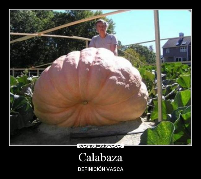 Calabaza - DEFINICIÓN VASCA