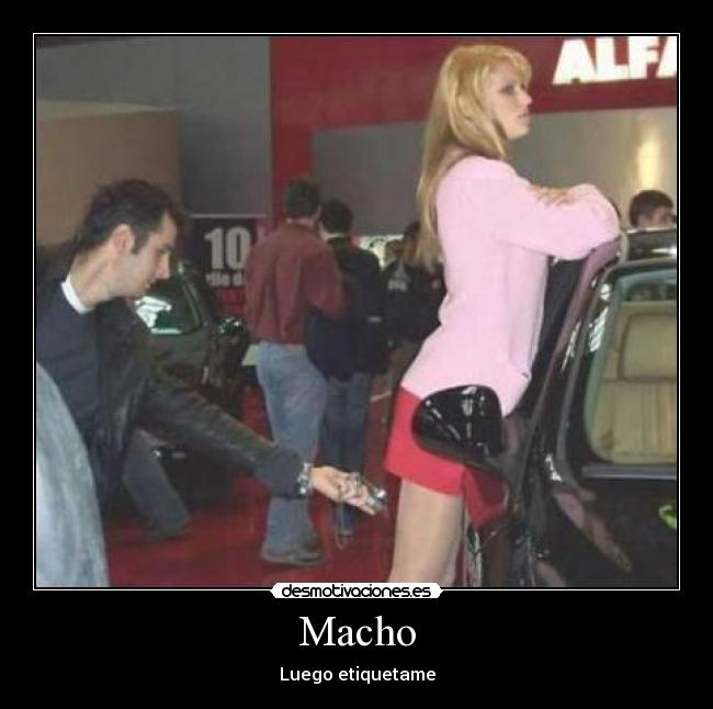 Macho - 