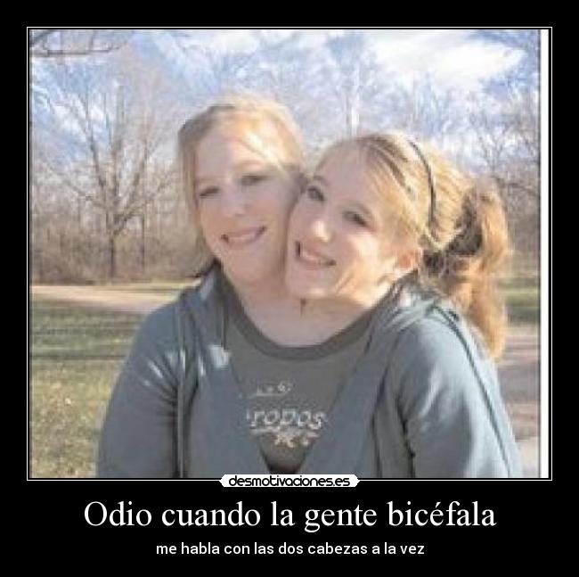 carteles odio odio cuando gente bicefala habla con las dos cabezas vez desmotivaciones