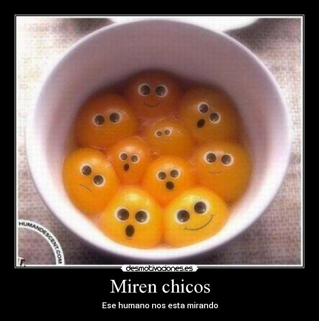 Miren chicos -