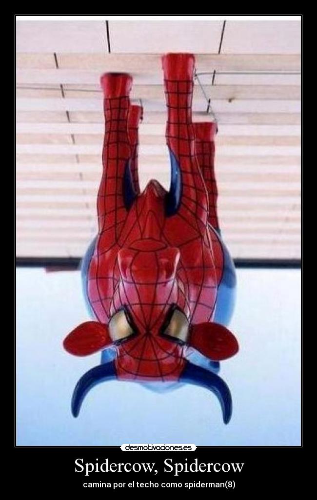 carteles aaaaaaaaaaa desmotivaciones