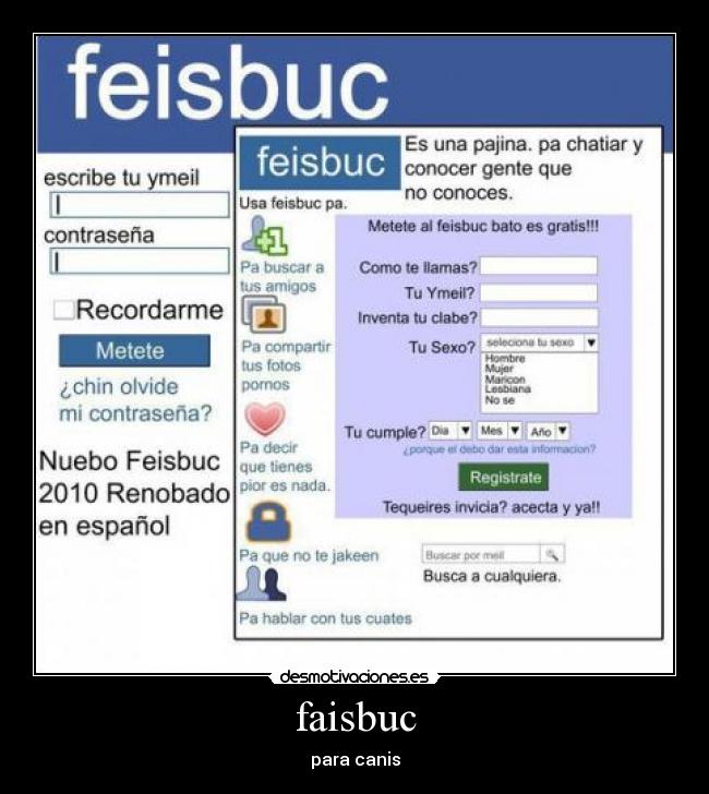 faisbuc - 