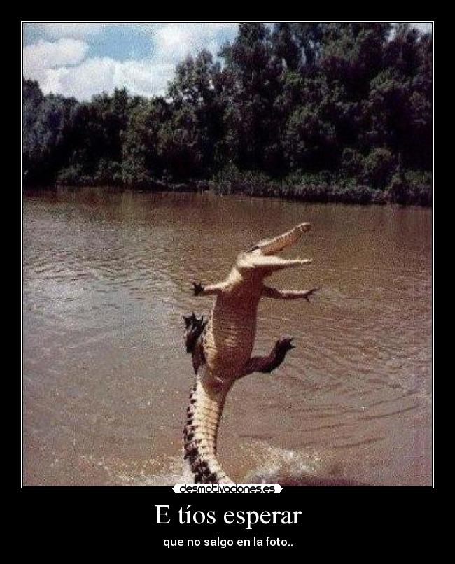 carteles love desmotivaciones