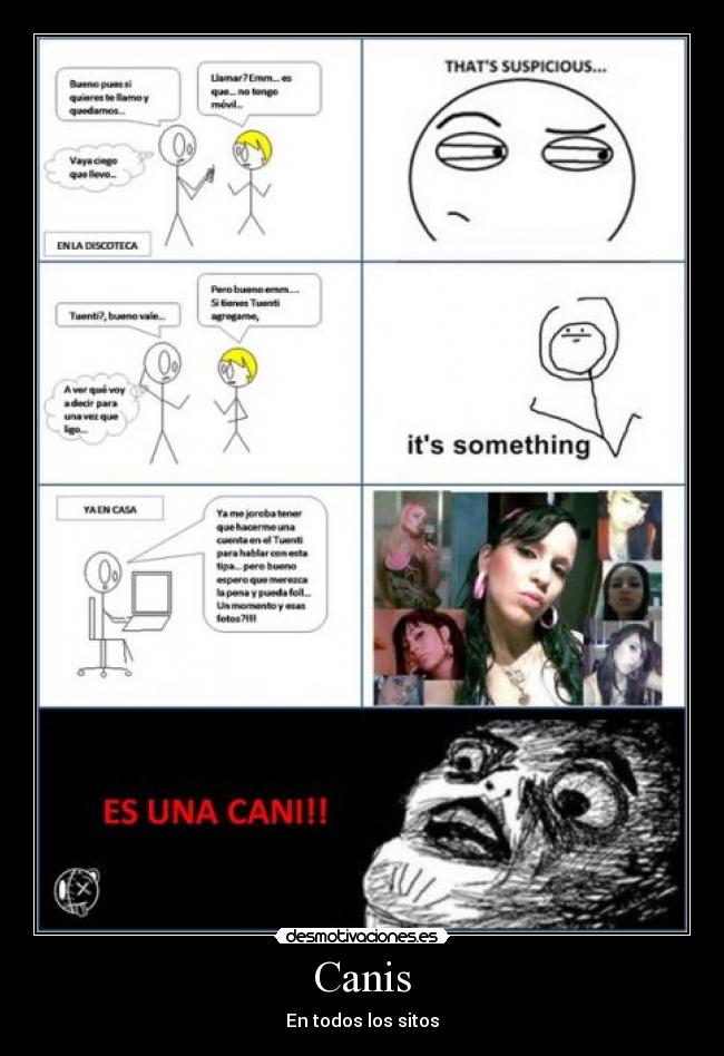 Canis - En todos los sitos