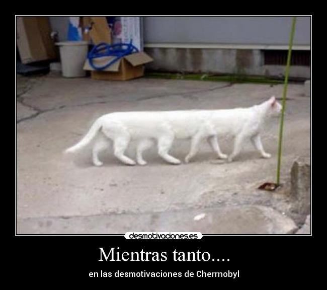 Mientras tanto.... - en las desmotivaciones de Cherrnobyl