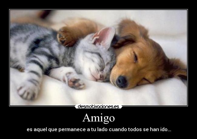 Amigo -