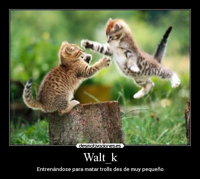 Walt_k -