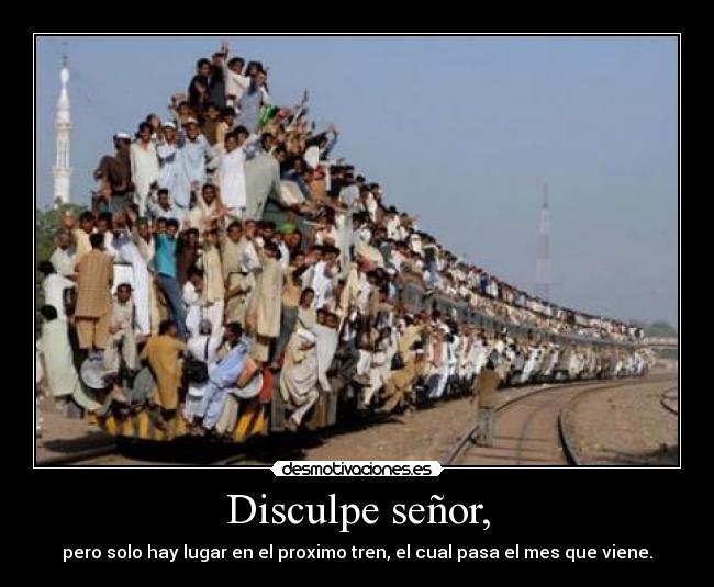 Disculpe señor, -