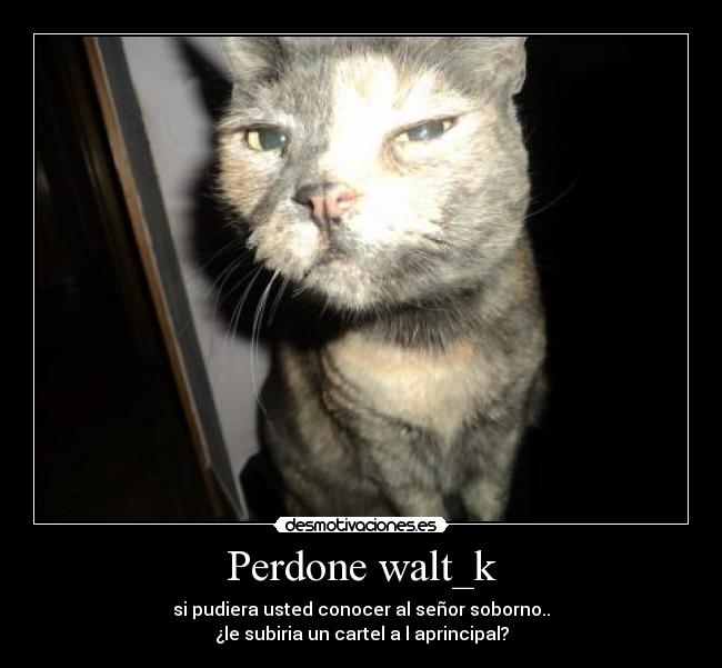 Perdone walt_k - si pudiera usted conocer al señor soborno..
¿le subiria un cartel a l aprincipal?