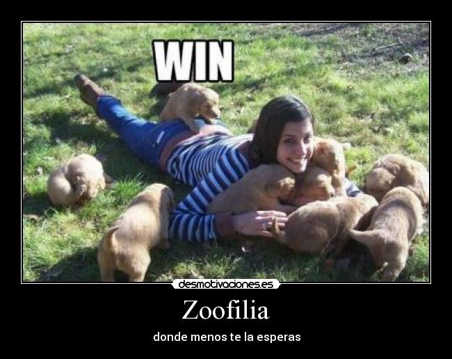 Zoofilia -