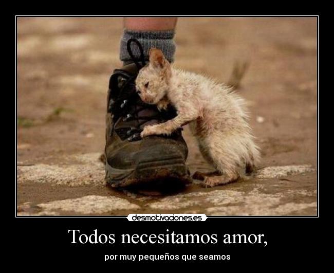 Todos necesitamos amor, - 