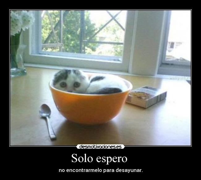 Solo espero -