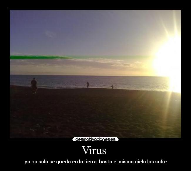 Virus  - 