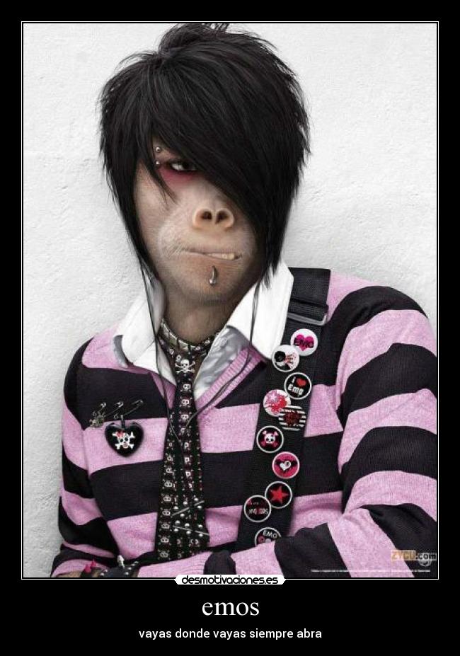 emos - vayas donde vayas siempre abra