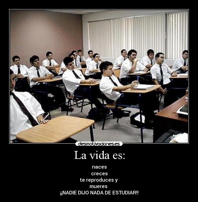 La vida es: - naces
creces
te reproduces y
mueres
¡¡NADIE DIJO NADA DE ESTUDIAR!!