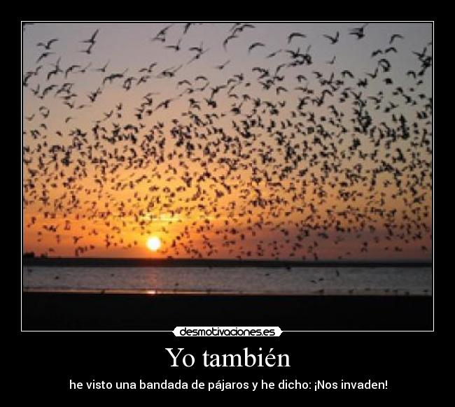 Yo también - 