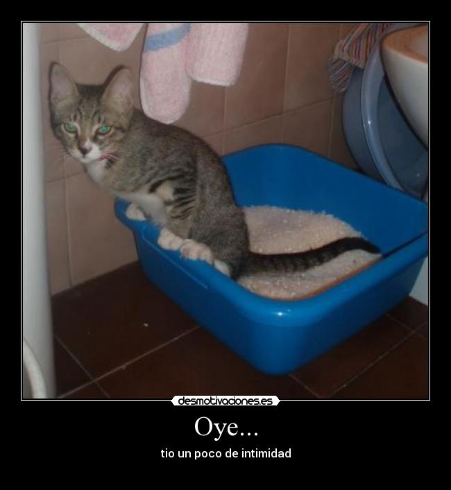 Oye... -