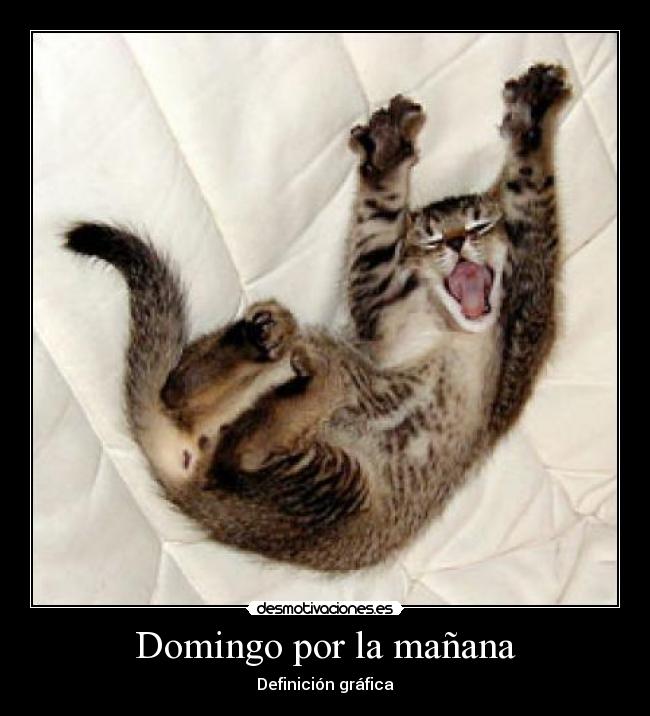 Domingo por la mañana - 