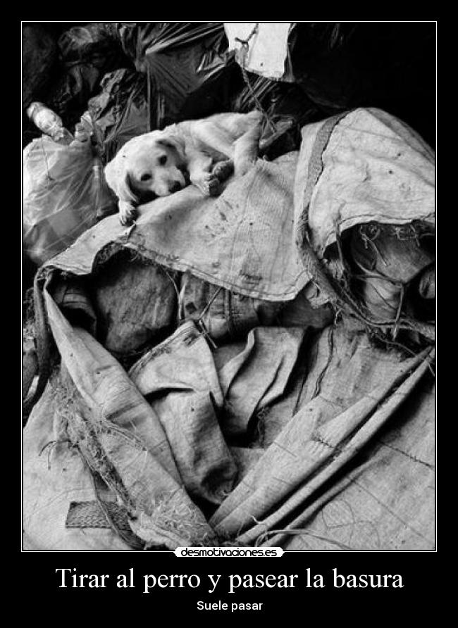 Tirar al perro y pasear la basura - Suele pasar