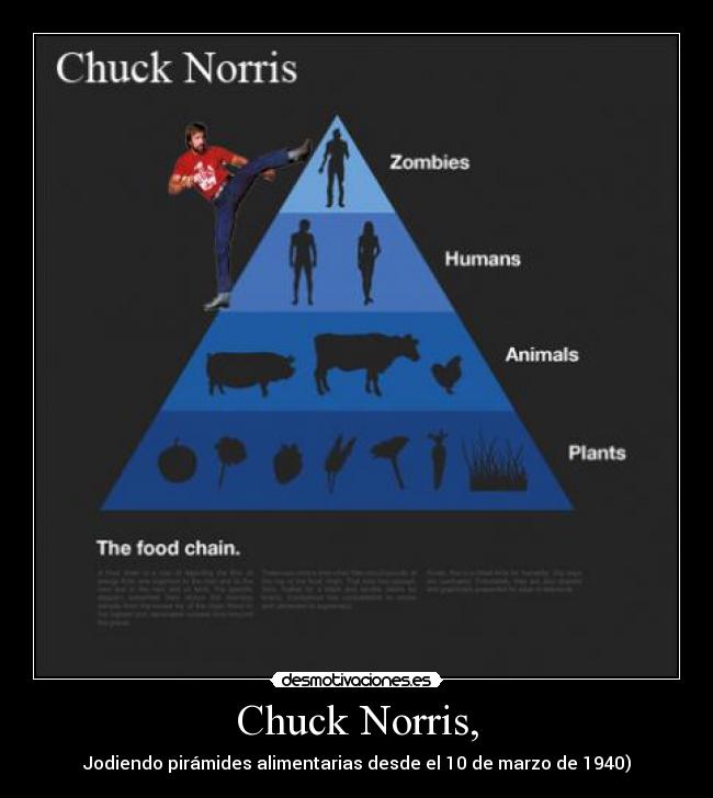 carteles chuck desmotivaciones