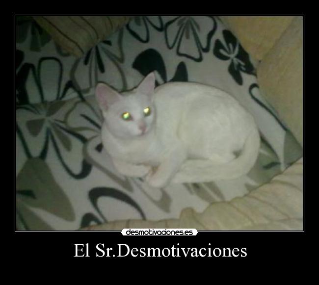 El Sr.Desmotivaciones -