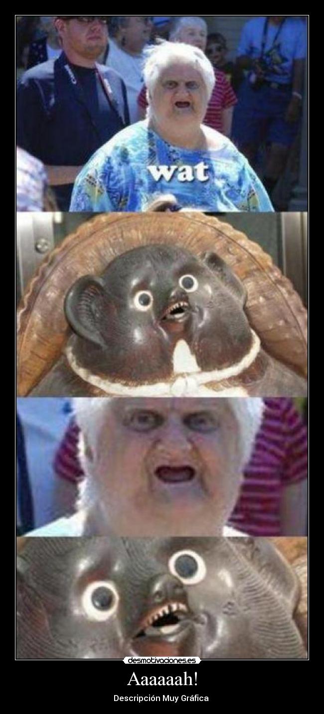 Aaaaaah! - Descripción Muy Gráfica
