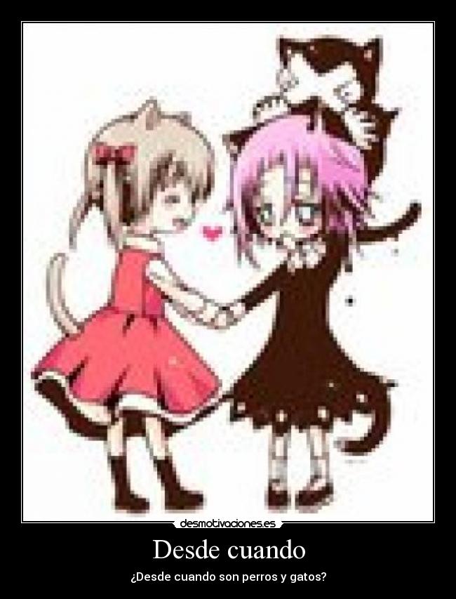 Desde cuando - ¿Desde cuando son perros y gatos?
