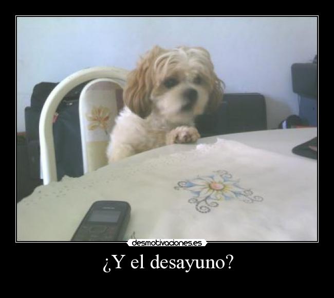 ¿Y el desayuno? -