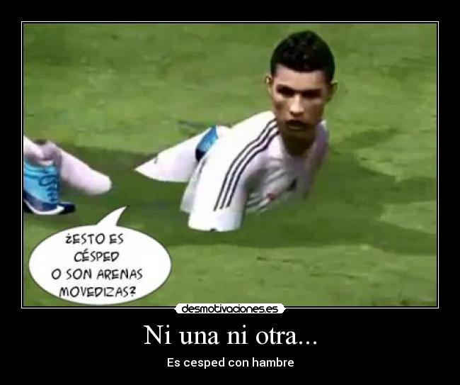Ni una ni otra... - Es cesped con hambre