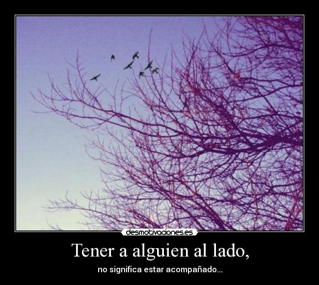 Tener a alguien al lado, - no significa estar acompañado...