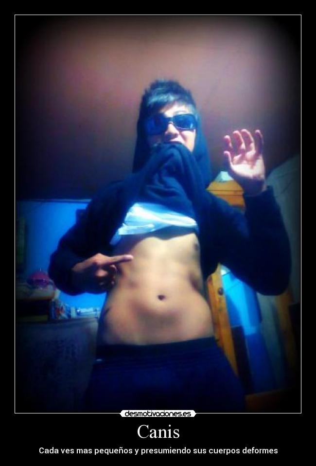 Canis - Cada ves mas pequeños y presumiendo sus cuerpos deformes