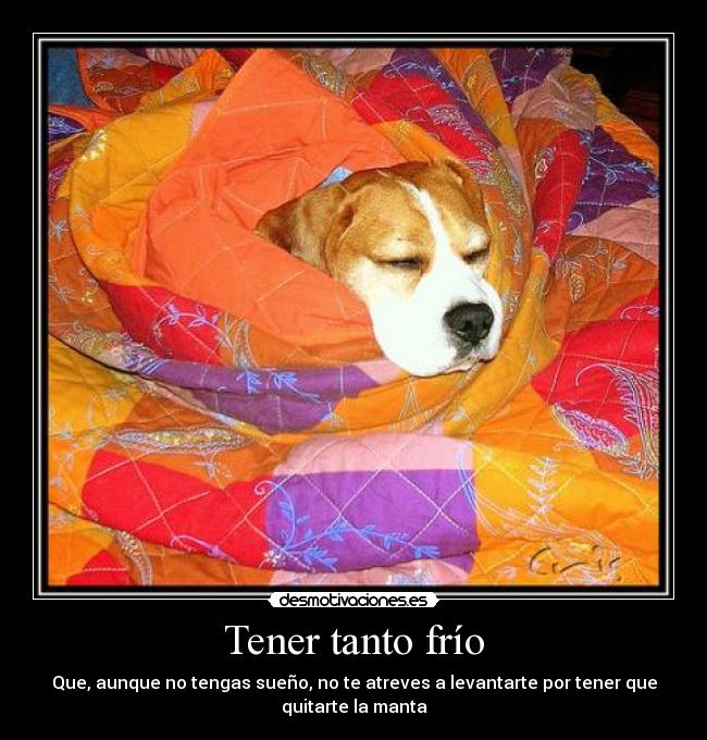 Tener tanto frío - Que, aunque no tengas sueño, no te atreves a levantarte por tener que
quitarte la manta