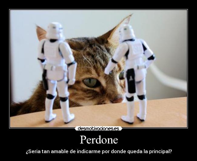 carteles syn41 donde queda principal desmotivaciones