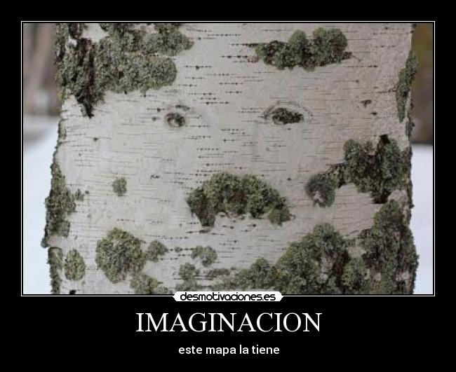IMAGINACION - este mapa la tiene