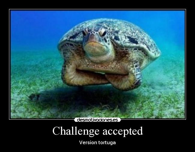 Challenge accepted - Version tortuga