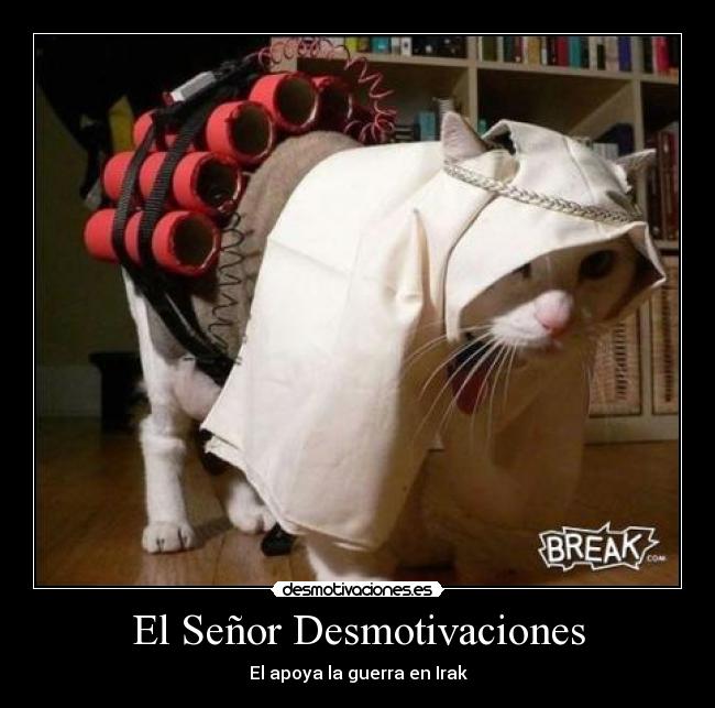 El Señor Desmotivaciones - El apoya la guerra en Irak