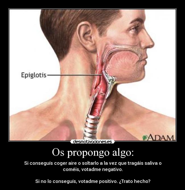 carteles ayshel desmotivaciones