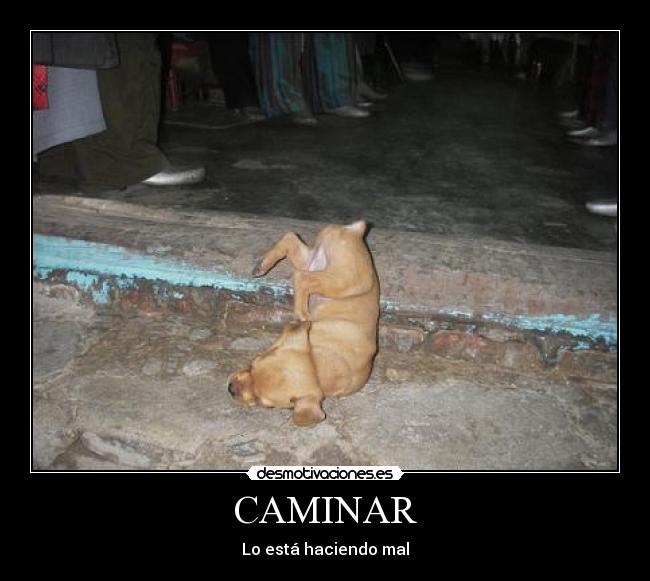 CAMINAR -