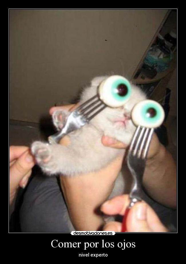 Comer por los ojos - nivel experto