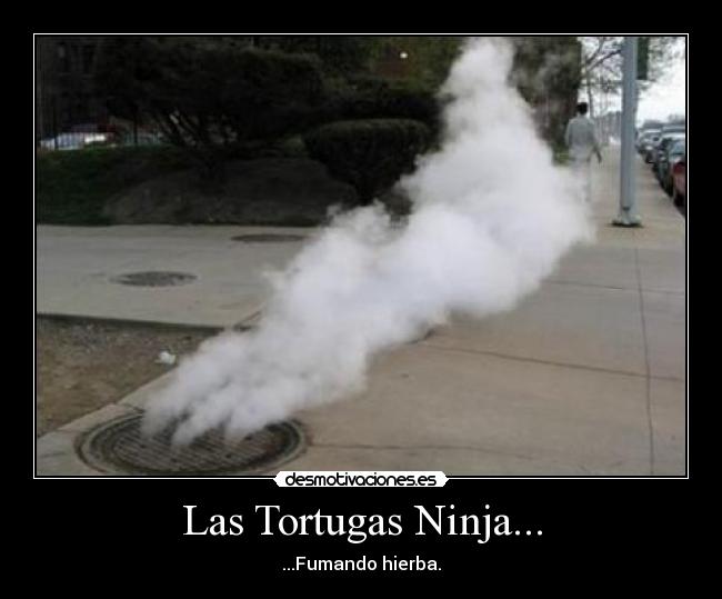Las Tortugas Ninja... -