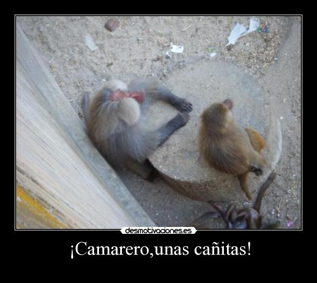 ¡Camarero,unas cañitas! -